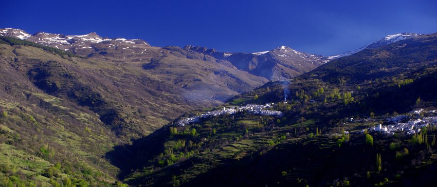 alpujarrisimas