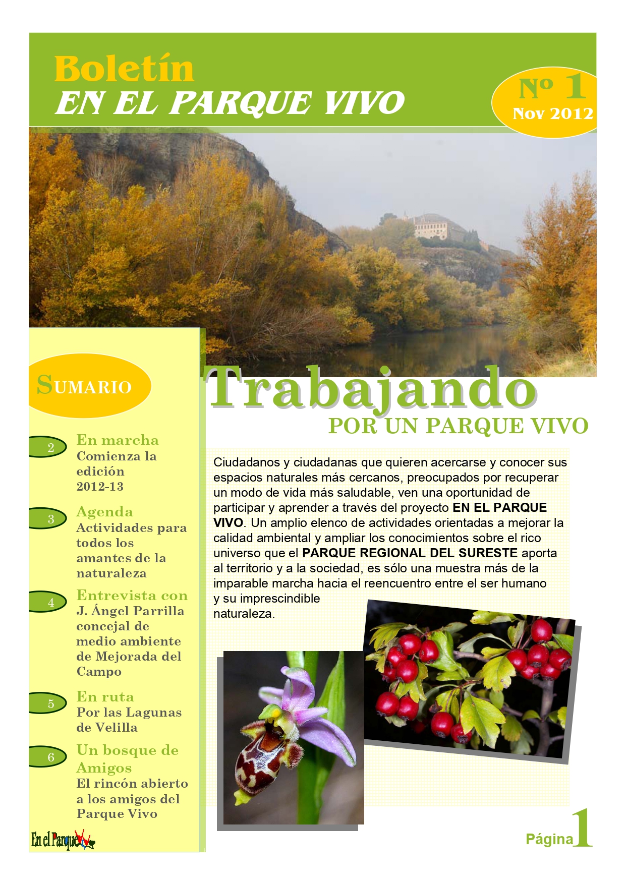 Boletín 1