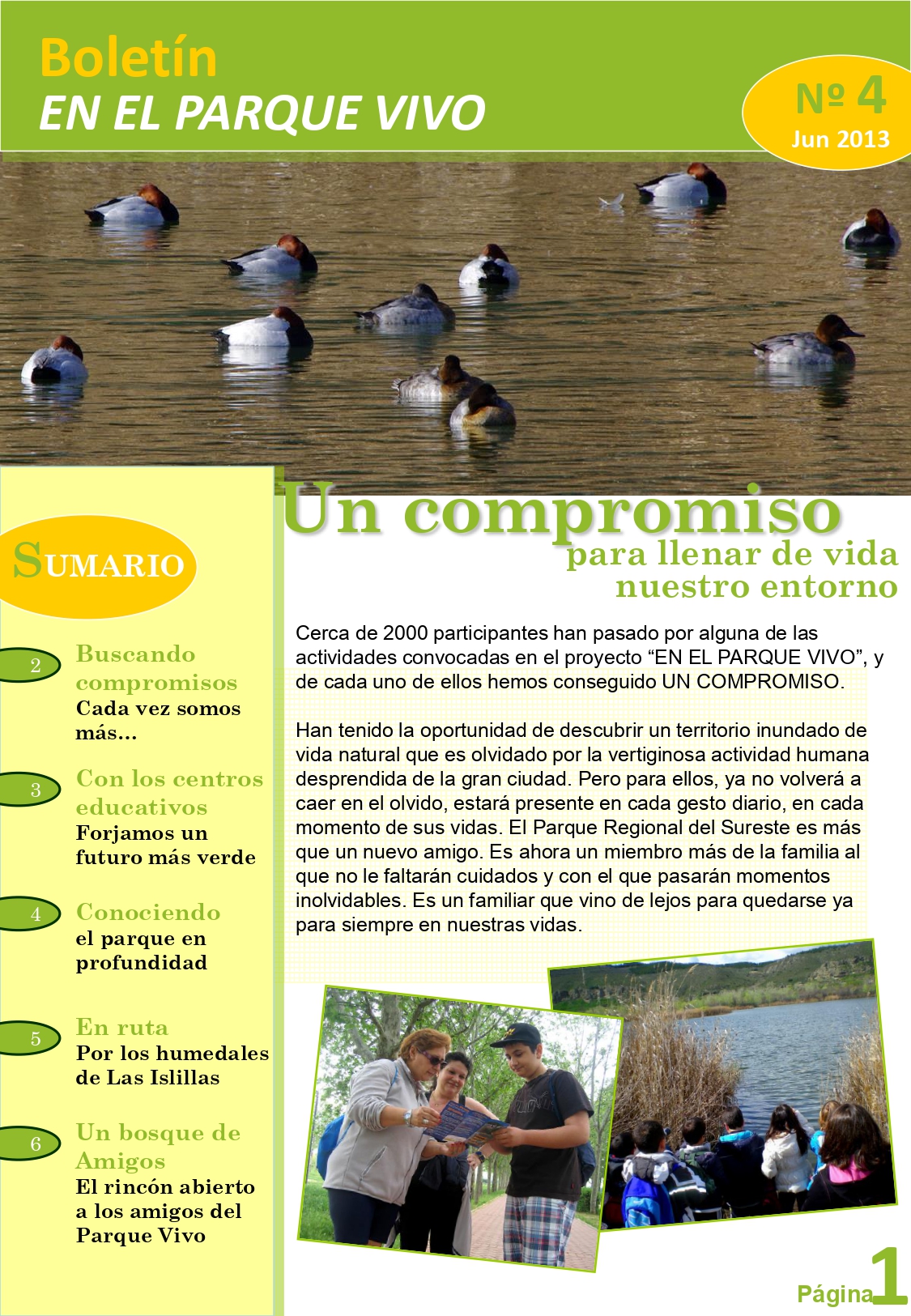Boletín 4