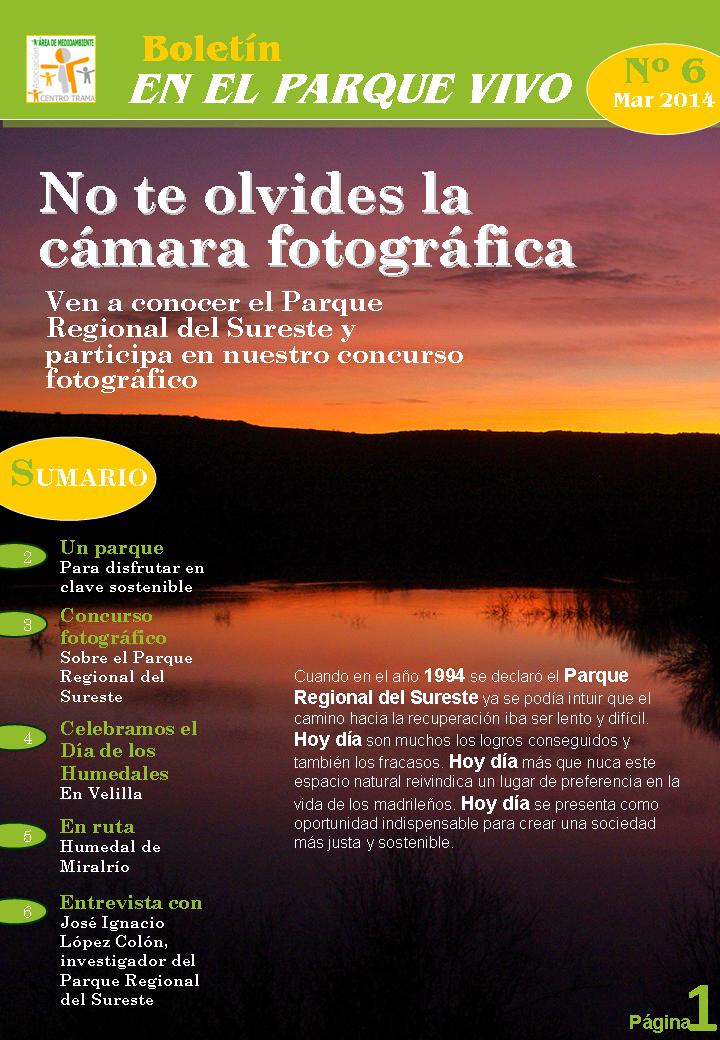 Boletín 6