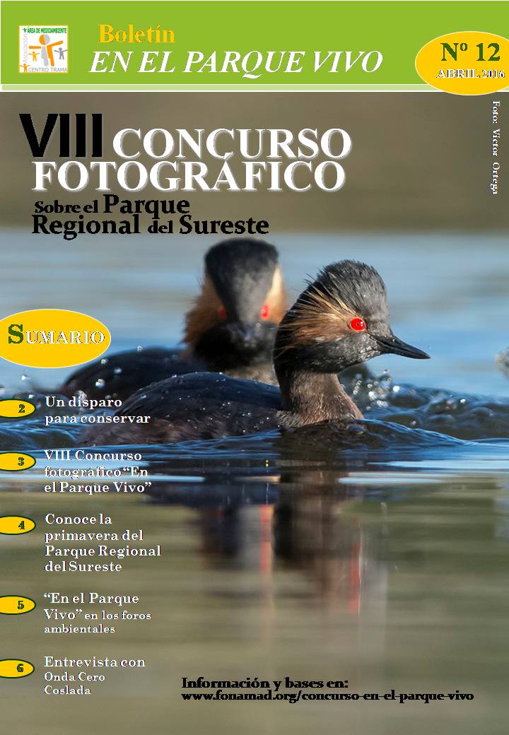 Boletín 12