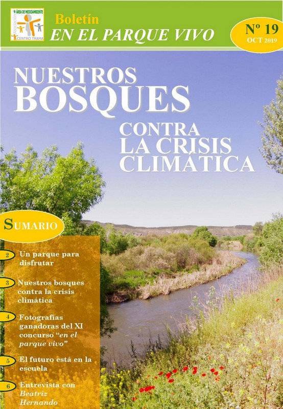 Boletín 19