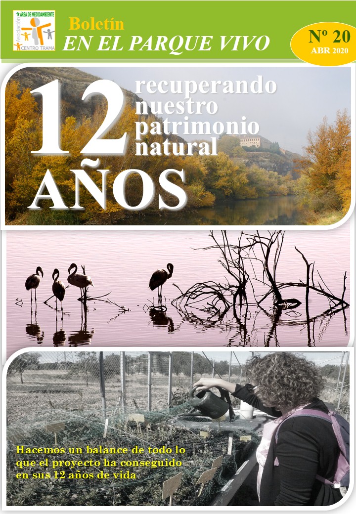 Boletín 20