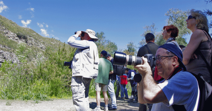 Voluntariado ambiental 2